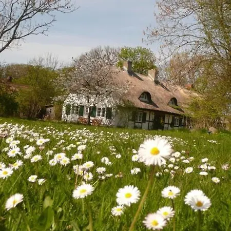 Daire Reethaus Rosengarten - Whg Windrose - Insel Ruegen Mit Blick Auf Hiddensee *